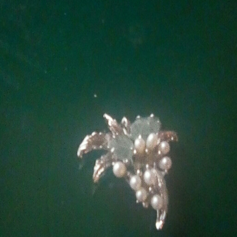 Pin pearls and jade